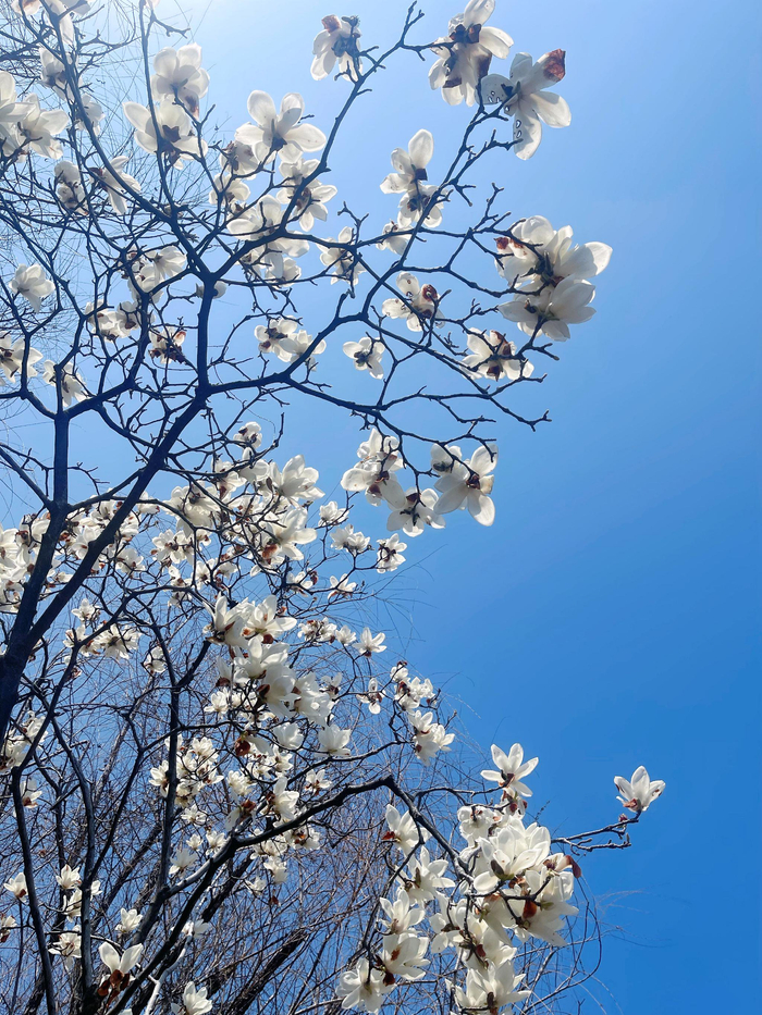 欧冠决赛安排-宁波现树上羽毛球奇观引网友晒图|浙江队|浙江省|宁波市|宁波同城|浙江_新浪体育_新浪新闻